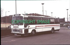 35mm Slide PMT (Leeds) Leopard