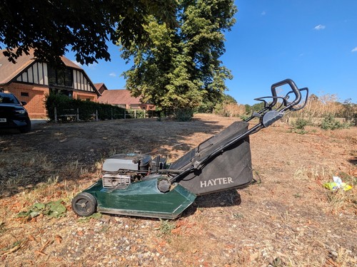Hayter harrier self - hayter,