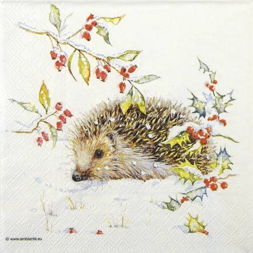 Hedgehog winter cocktail - hedgehog,
