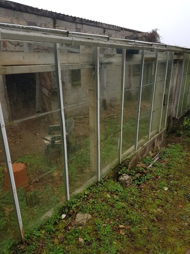 Greenhouse horticultural glass - horticultural,
