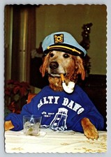 Salty Dawg Saloon Cooper Dog