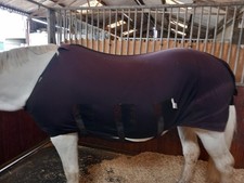 Snuggy Hoods Spik & Span Rug