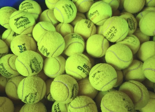 Used tennis balls - 20, dogs