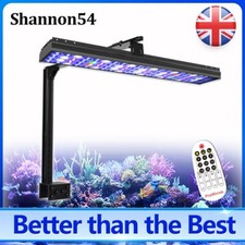 PopBloom S54 Timer Control Led