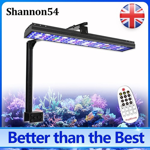 Popbloom s54 timer control - popbloom,