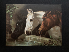 Horses at water trough small Victorian print