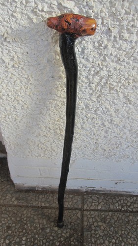 Rustic irish blackthorn - rustic,