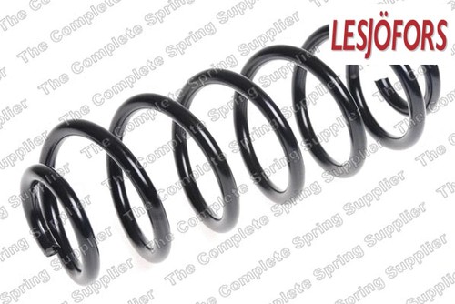 Rear coil spring pcs - coil, pcs.