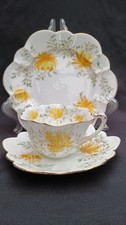 Wileman Foley Chrysanthemum pattern Teacup Trio in the Empire shape c.1800s