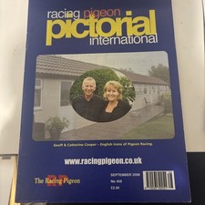 Racing pigeon Pictorial