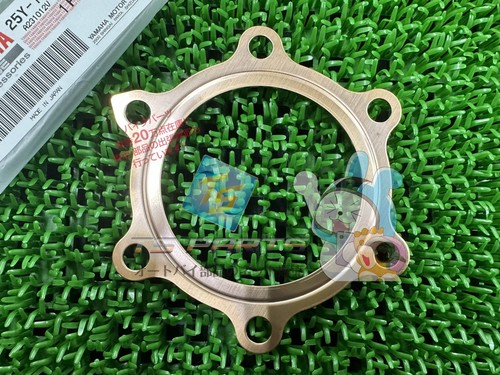Ty250r cylinder head gasket - cylinder,