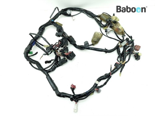 Wiring harness honda st - (main),
