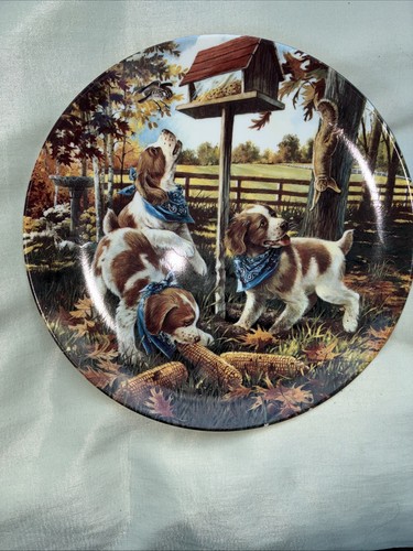 Carolyn jagodits plate - carolyn,