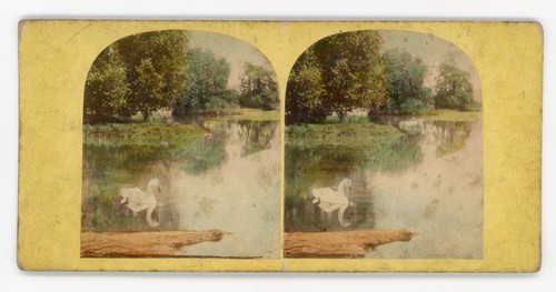 Stereoview stereoscope card - stereoscope,