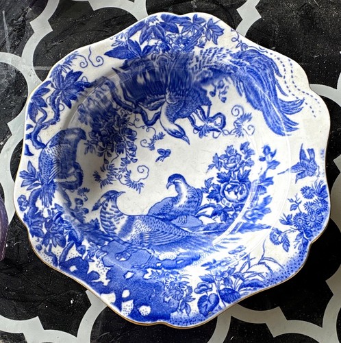 Royal crown derby bone - derby,