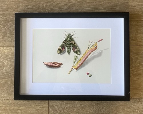 Framed lithographic antique - lithographic,