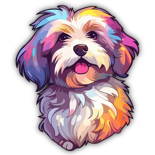 Havanese color art cut - color, to
