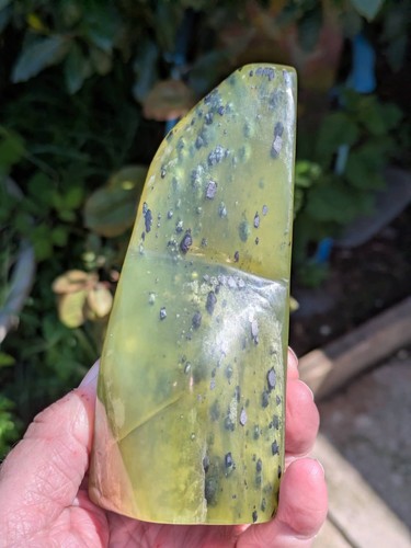 5cm and 379g - 12., transparent