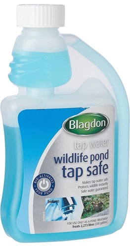 Blagdon wildlife pond tap - blagdon, safe