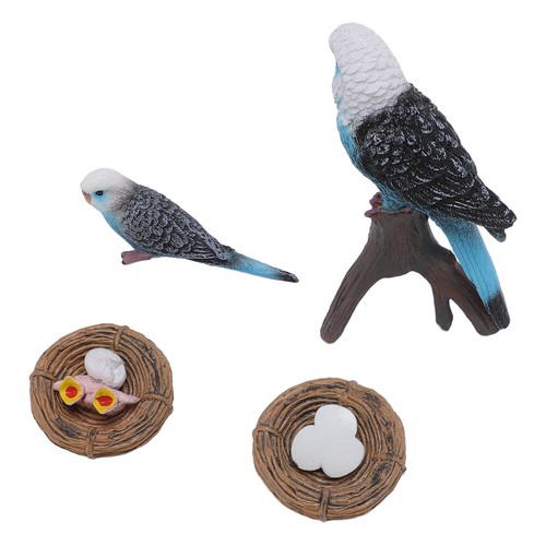 4pcs budgerigar growth - 4pcs, cycle