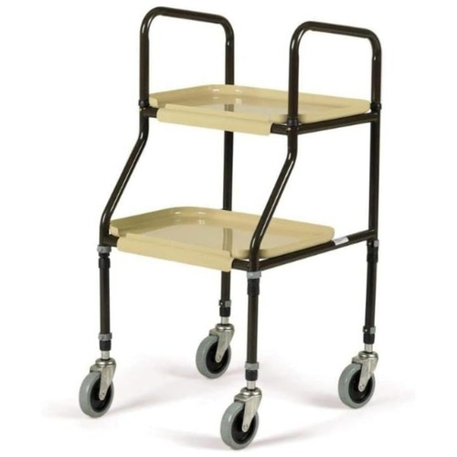 Shelf mobility trolley - mobility,