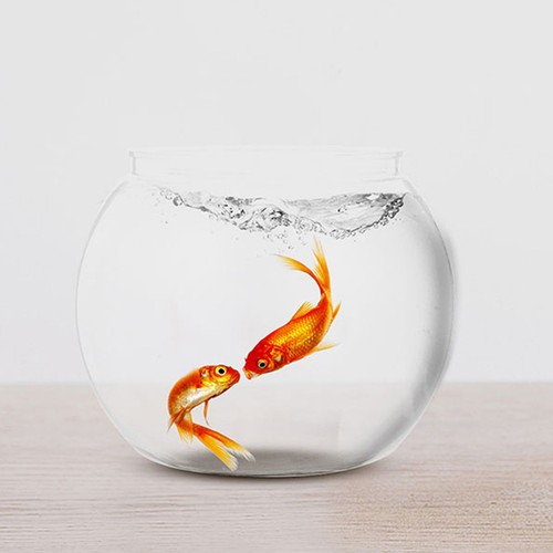 Pcs plastic aquarium - 2,