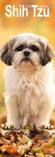 Shih Tzu 2026 Slim Wall