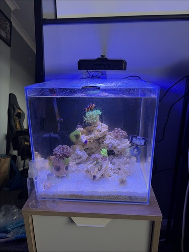 35l nano reef marine tank - 35l,