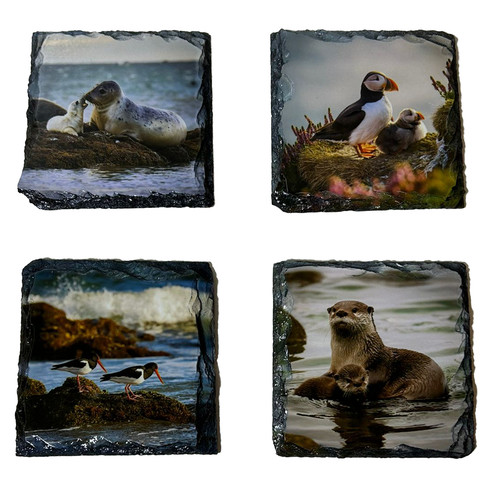 Slate coaster set north coast - slate,