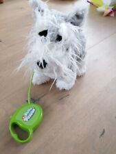 Fluffy Puppies Walking Puppy