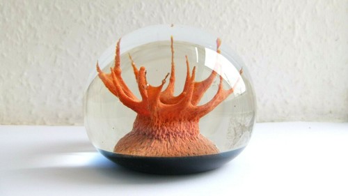 Caithness paperweight coral - paperweight,