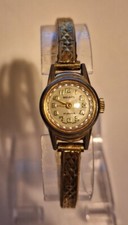 Beautiful Nelson 17 Jewels