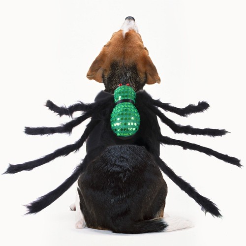 Sequin spider costume - sequin,