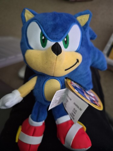 Sonic the hedgehog 30th - sonic,