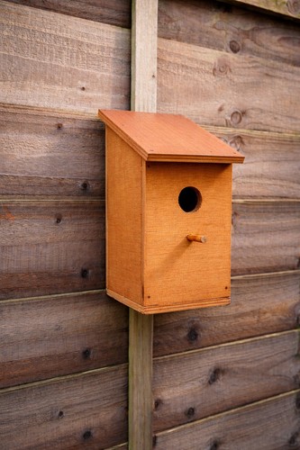 Handmade wooden bird - handmade, box