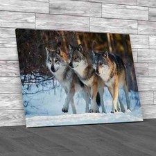 Three Wolves Marching Together