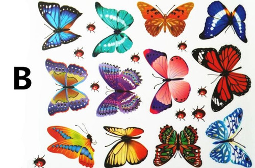 Colorful transperent butterfly - colorful,