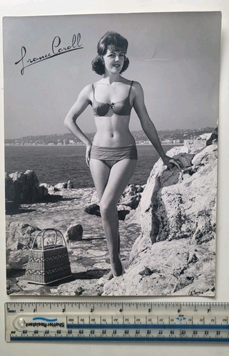 Vintage 1950s photo - vintage,