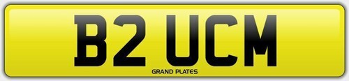 Bruce brucey number plate - number,