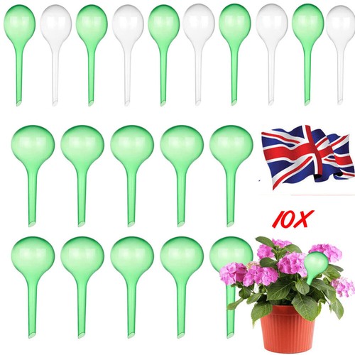 Plant self watering bulb clear - plant,