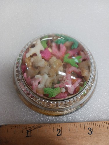 Vintage ocean coral magnifier - ocean,