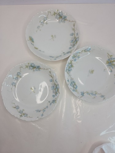 Antq haviland co limoges - antq,