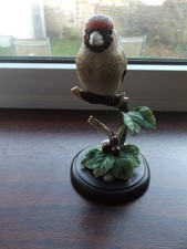 Fantastic Quality Border Fine Goldfinch on Wild Cherry A23854