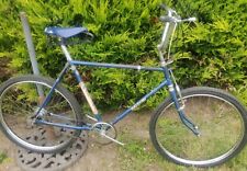 Raleigh Madison Rare South African Bomber Custom Version ATB Cruiser Bike Cycle