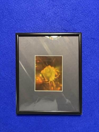 Hologram art blooming - 3d, “blooming