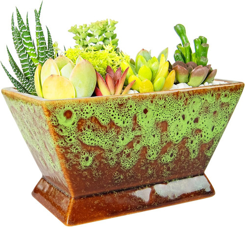 Succulent pots inch - 7, large