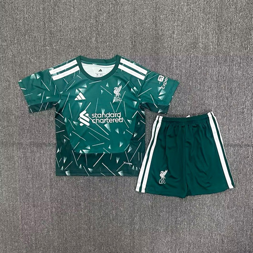 Liverpool goalkeeper kit - liverpool,