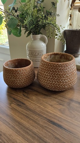Heavy terracotta plant - terracotta,