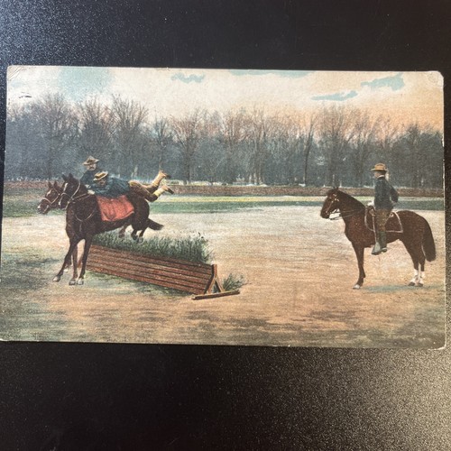 Horse vaulting cavalry - vaulting,