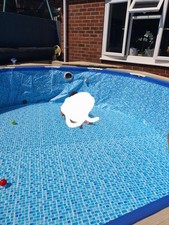 12ft above ground swimming - 12ft, above-ground